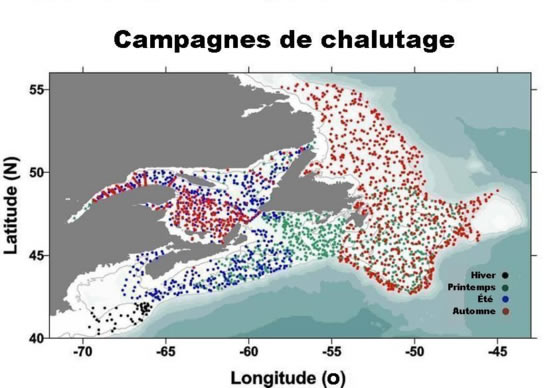 Figure 3 : Campagnes de chalutage réalisées par les responsables du PMZA de la Région des Maritimes. Figure 3 : Campagnes de chalutage réalisées par les responsables du PMZA de la Région des Maritimes.