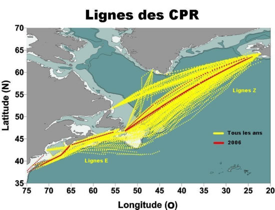 Figure 4 : Lignes des CPR d'où sont prélevés les échantillons pour le PMZA dans la Région des Maritimes. Figure 4 : Lignes des CPR d'où sont prélevés les échantillons pour le PMZA dans la Région des Maritimes.