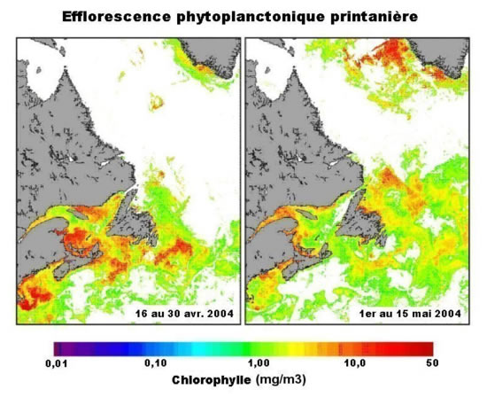 Figure 5 : température de surface de l'océan et couleur de l'océan Figure 5 : température de surface de l'océan et couleur de l'océan