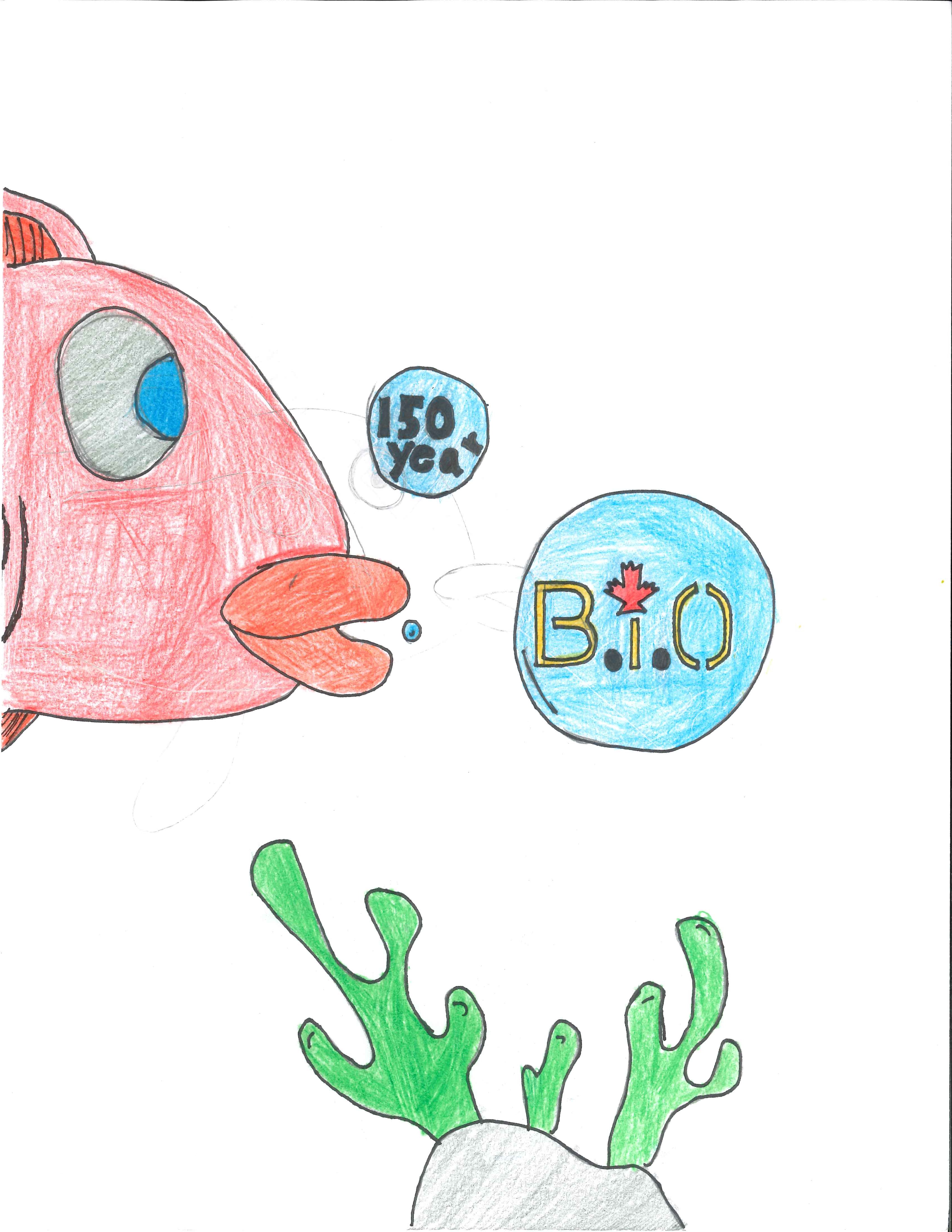 First Runner Up: Ibrahim K. Grade 6. "Fish with lips"