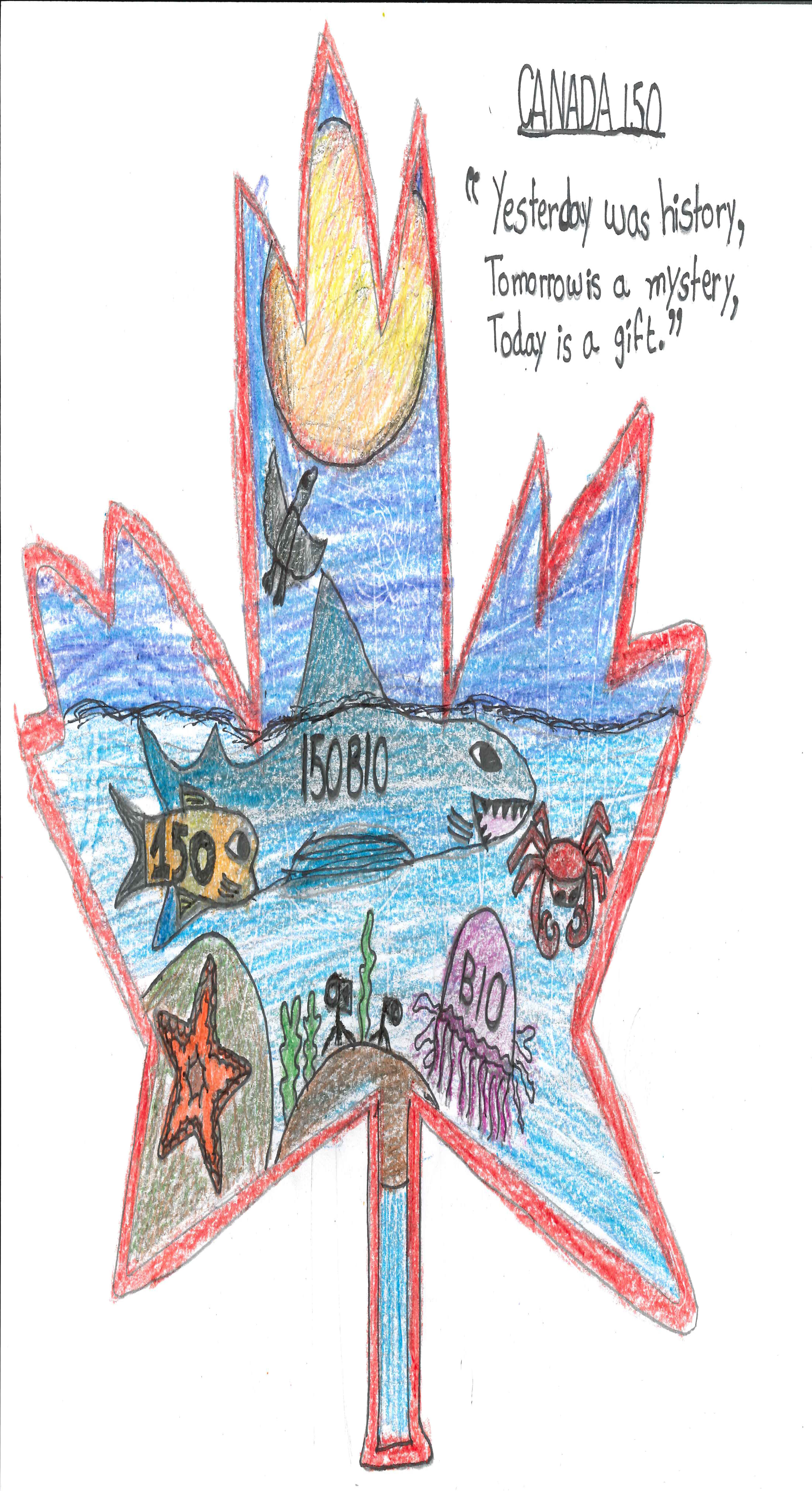 Quatrième finaliste : Anika S. 6e année. "Requin et feuille d’érable"