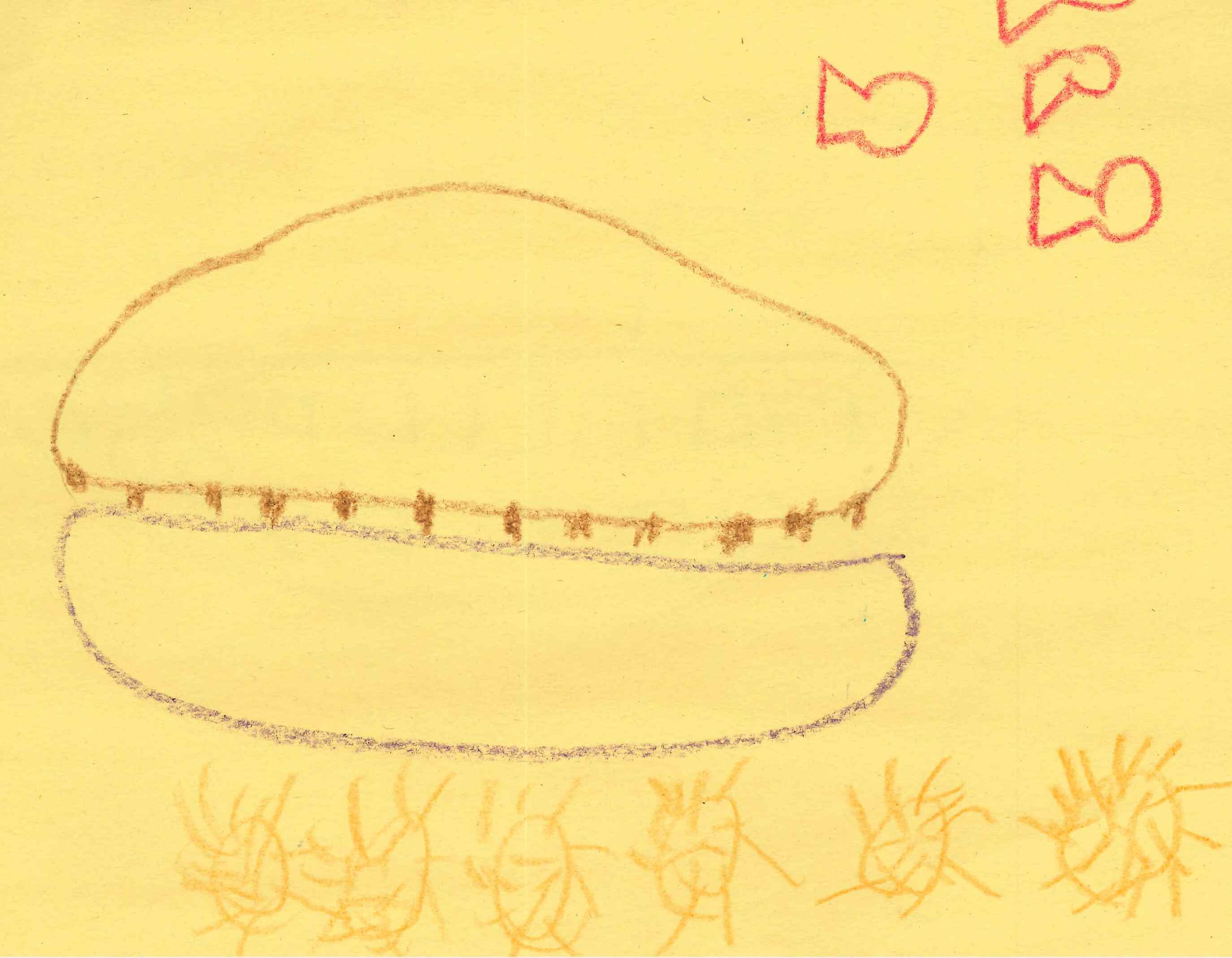 Second Special Mention: Luka M. Grade 4. "sea creature"