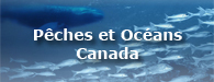 Pêches et Océans Canada