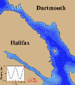 Animation des courants de marée près de la surface pour Port d'Halifax